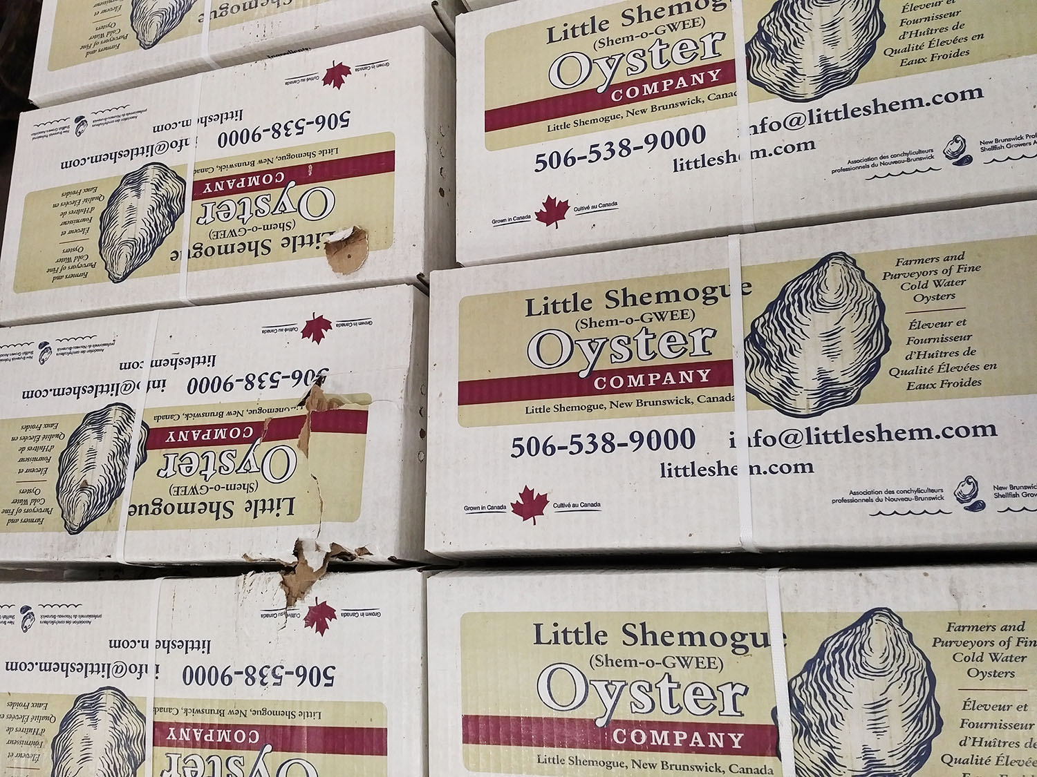 Little Shemogue Oysters